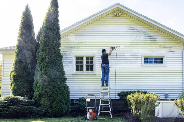 Best Fence Cleaning  in Channel Lake, IL